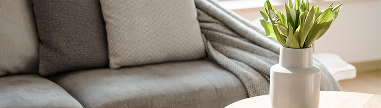 sofa beds
