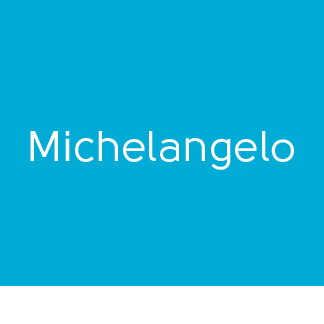 Karndean Michelangelo