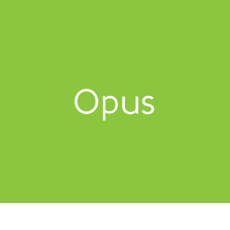 Karndean Opus