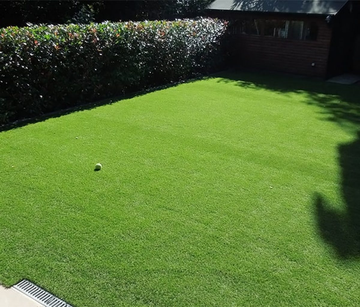 Artificial Grass