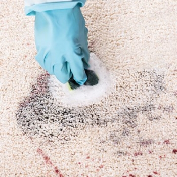 Avoid committing these common carpet care crimes