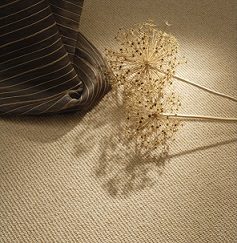 Sisal Weave