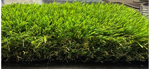 lawnia grass section