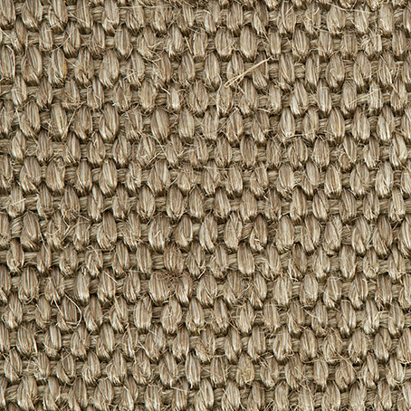 Sisal Harry