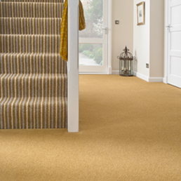 Tomkinson Twist